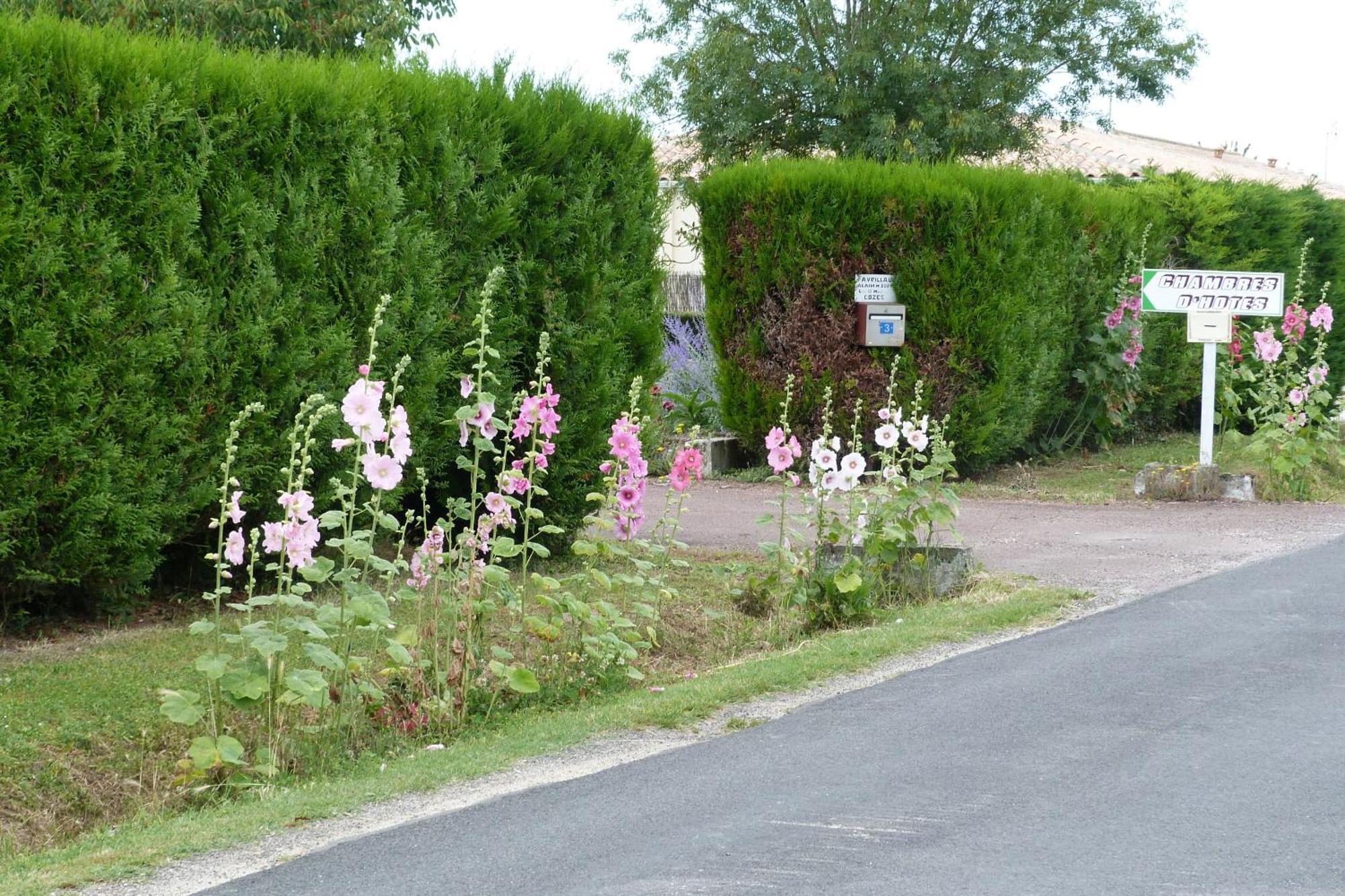 Chambre D'Hotes Les 3 Moulins Cozes Kültér fotó